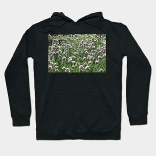 wildflowers Hoodie